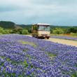 Ocean Canyon Properties Announces "Million Dollar...